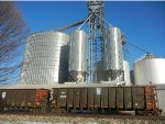 Foosland Grain Elevator