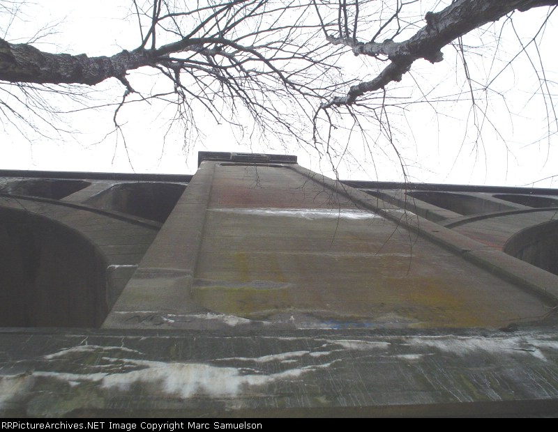 Looking Up From the Bottom