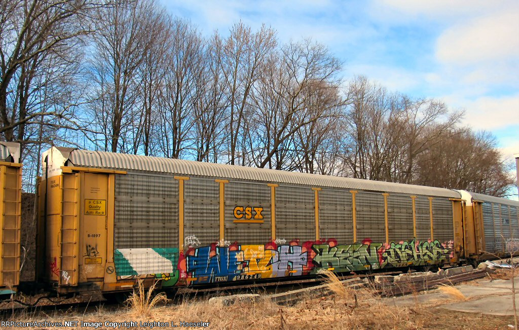 TTGX 986249