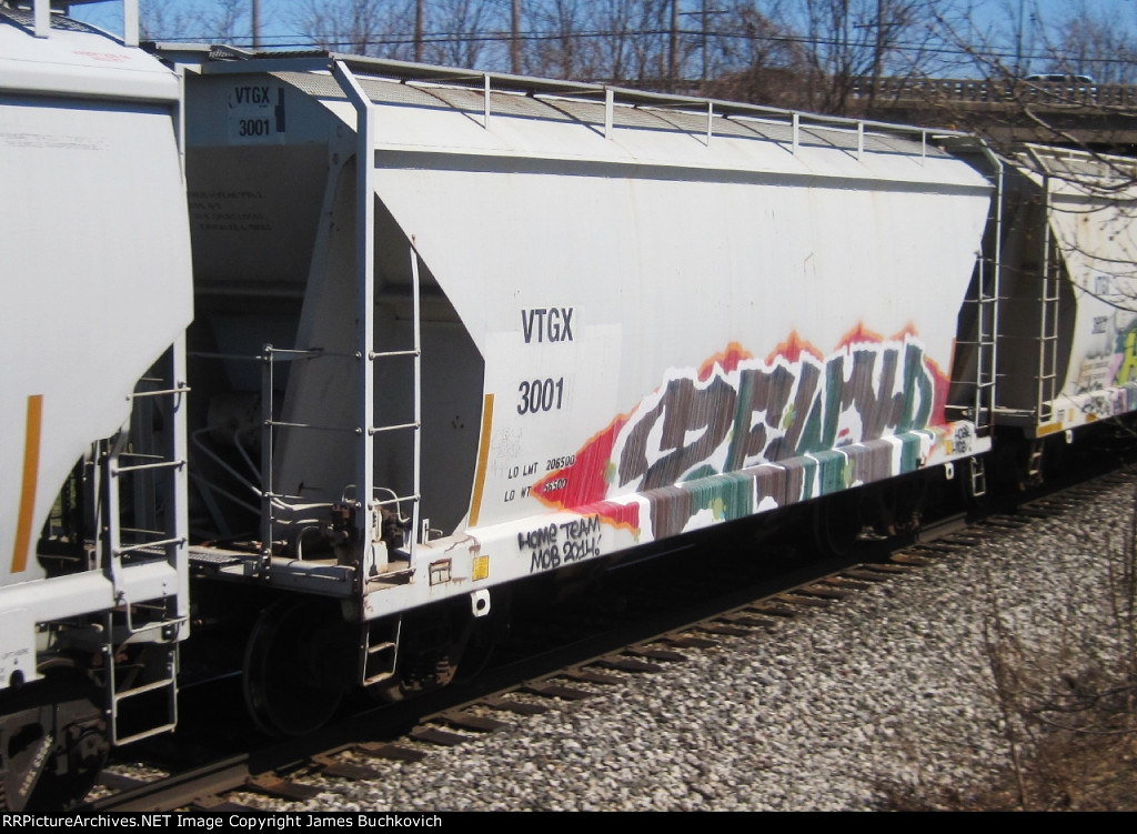 VTGX 3001