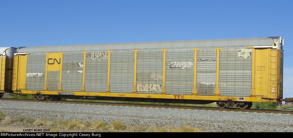 TTGX 604509