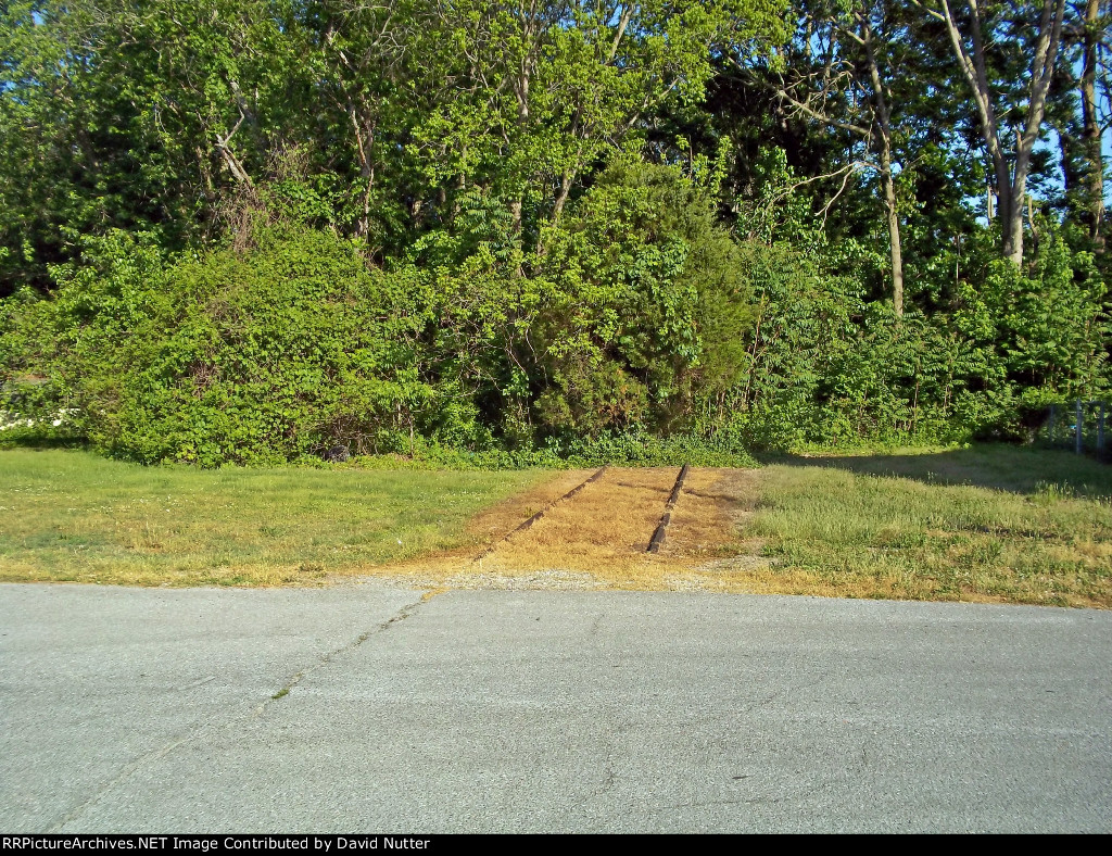 Its alot heavy of vegetation out of there..