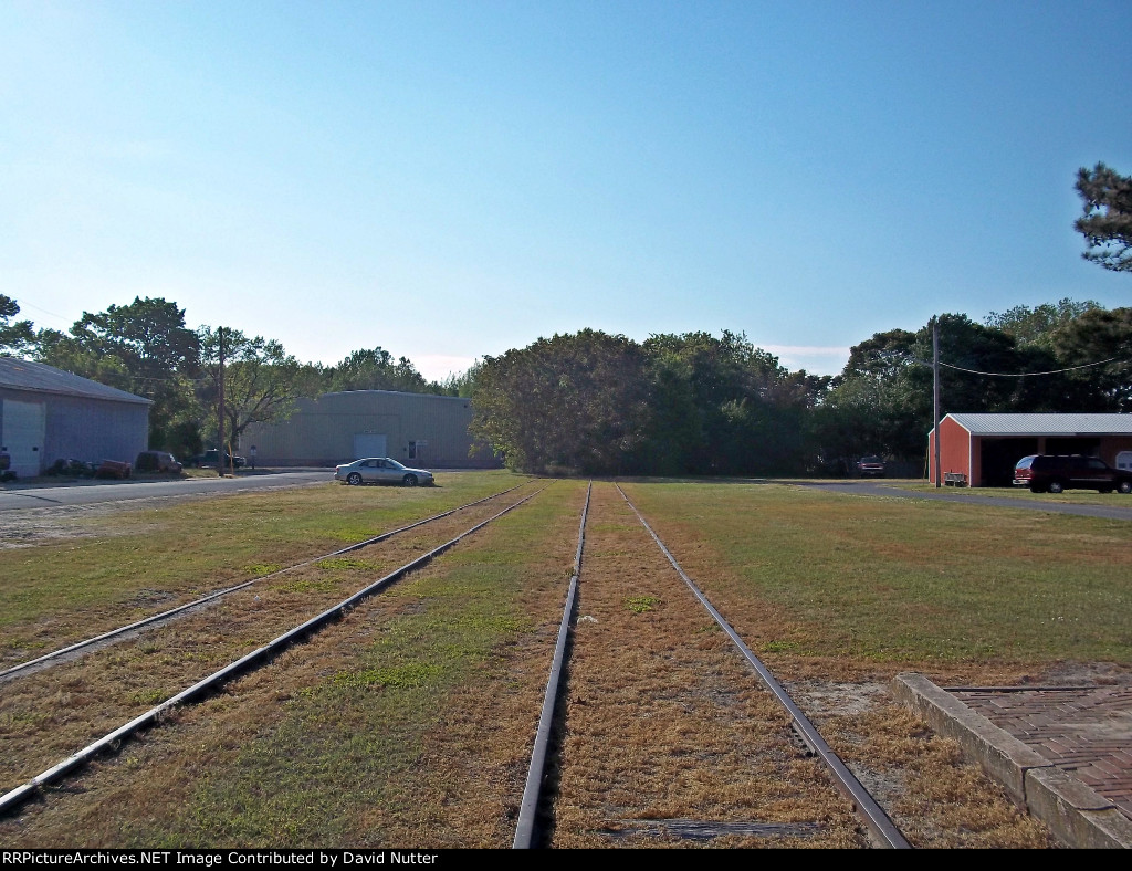 Overgrown alot of vegetation cover of tracks