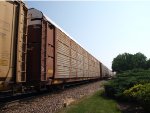 SP 516264