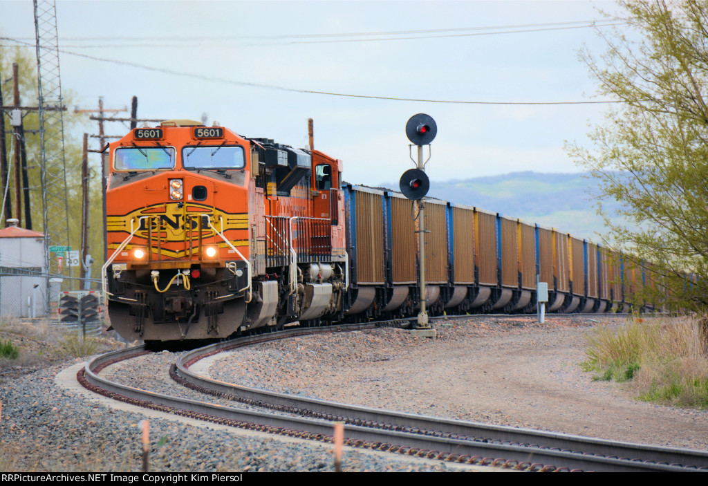BNSF 5601 Coal Loads
