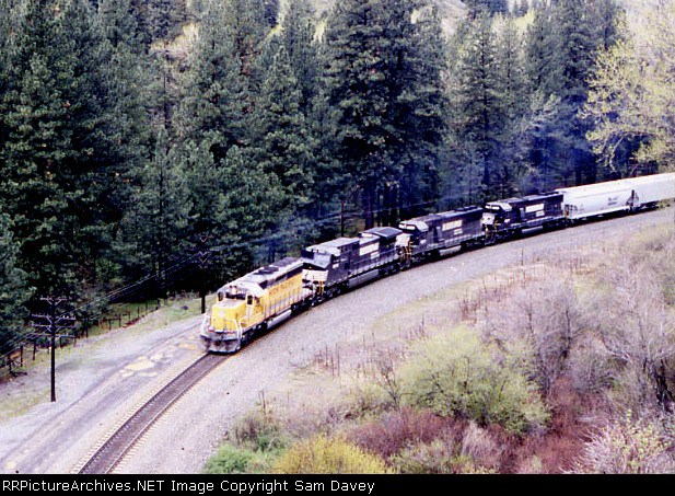 thats the way it should be.  the UP leading the NS