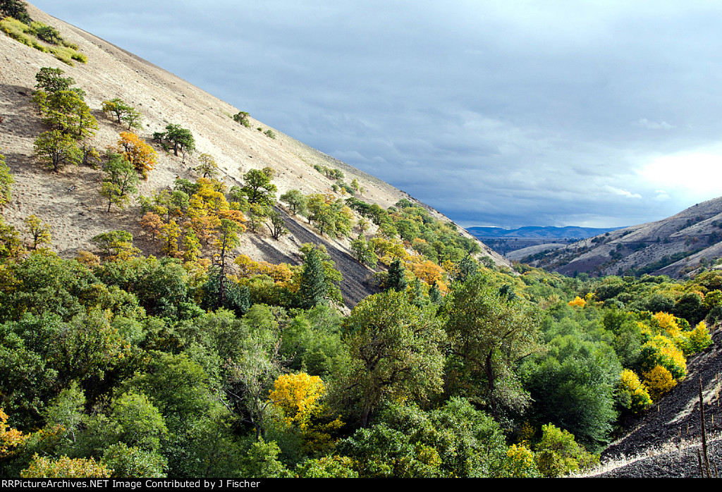 Scenic hillside