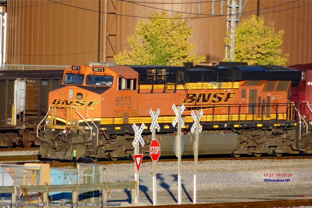 Pumpkin has 287's nose