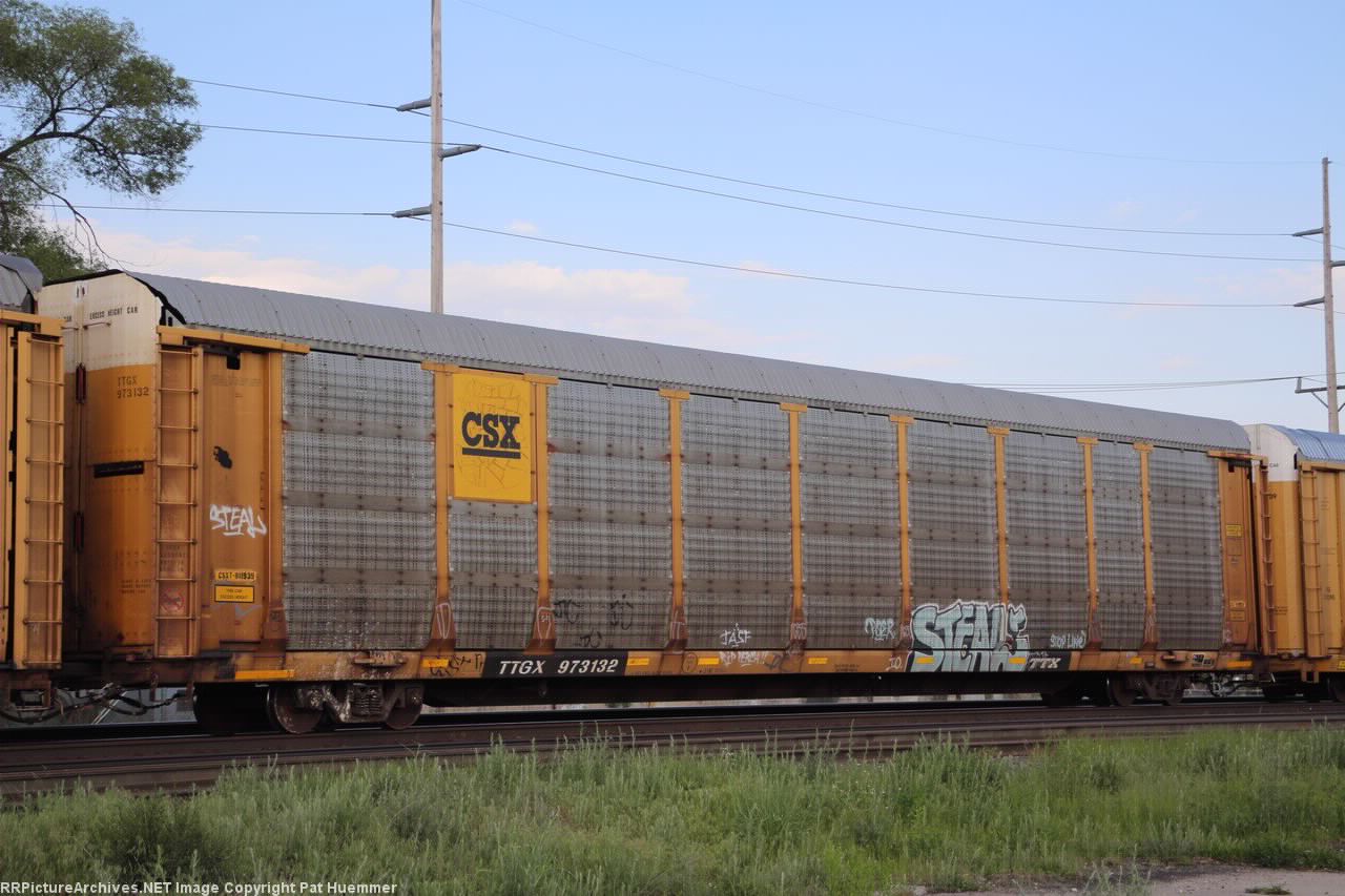 TTGX 973132