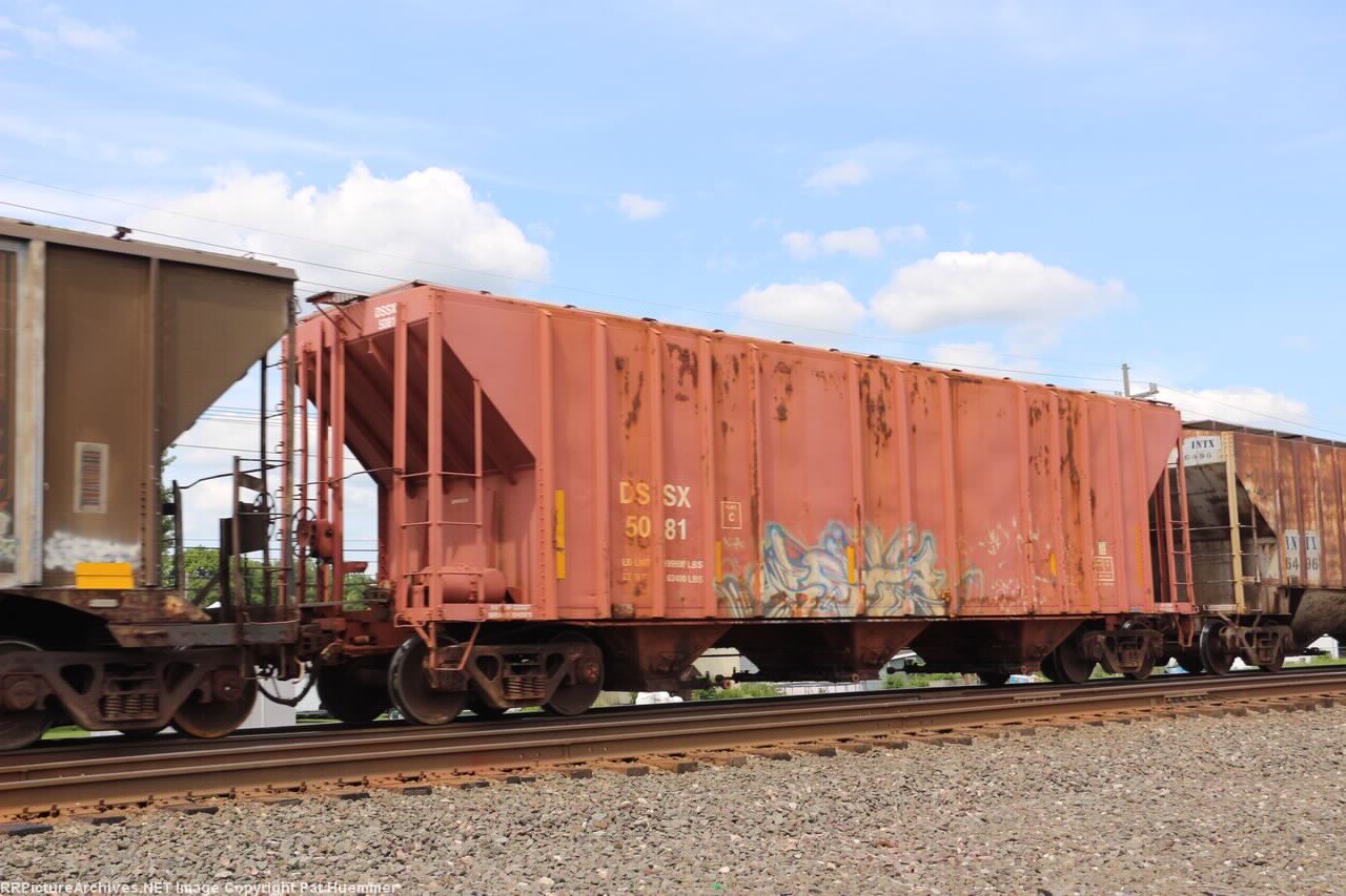 DSSX 5081