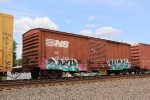 NS 451036