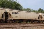 NS 295960