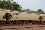 NS 296352