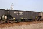 NS 145597