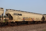 NS 294852