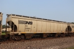 NS 295955