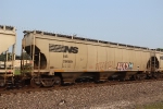 NS 296681