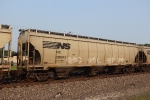 NS 296613