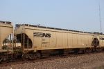 NS 295377