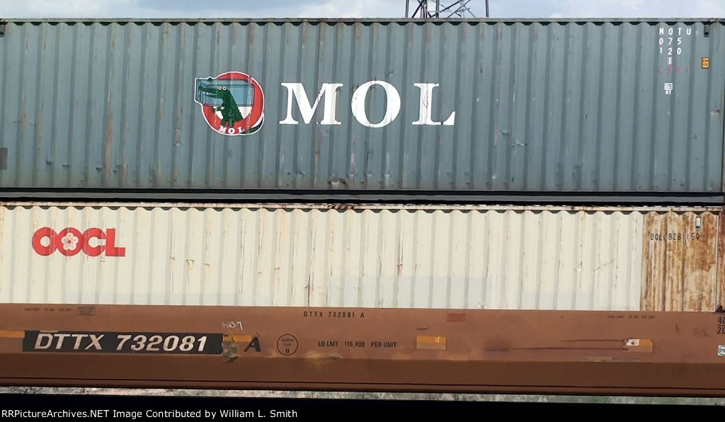 WB Frt (4) at Goffs CA -94