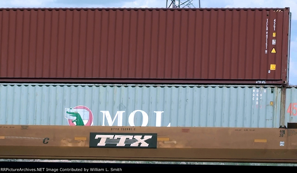 WB Frt (4) at Goffs CA -95