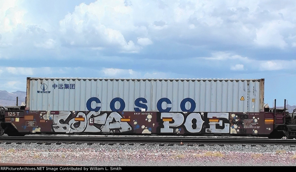 WB Intermodal Frt at Goffs CA -25