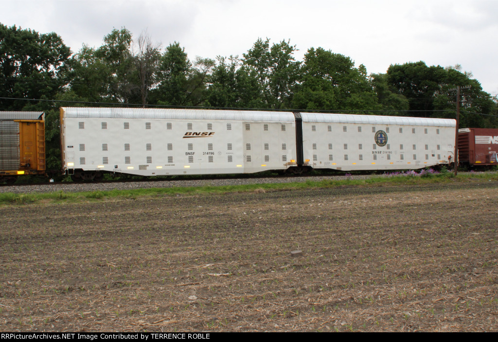BNSF 314196