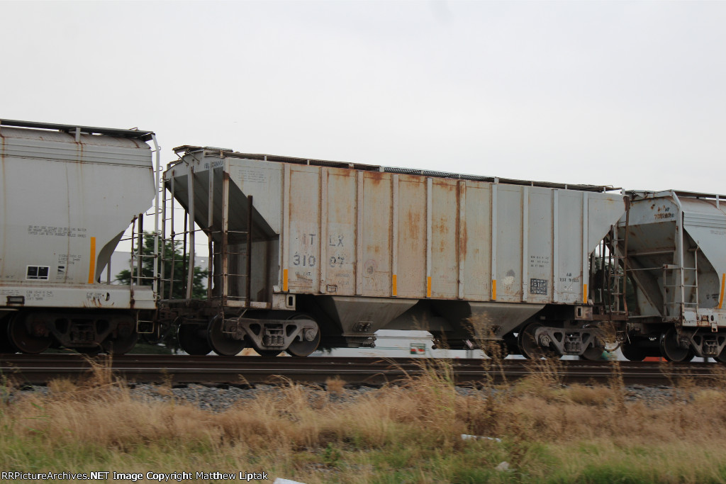 ITLX 31007