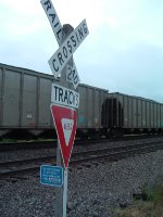 Crossing sign at Cnty Rd 800 N
