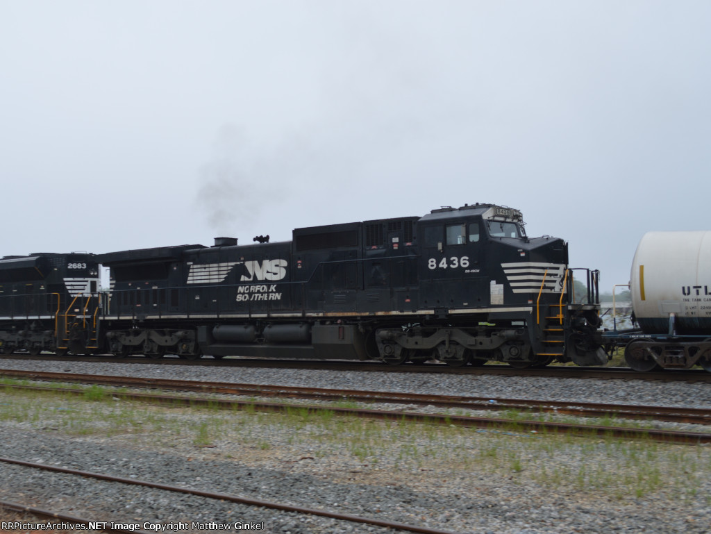 NS 8436