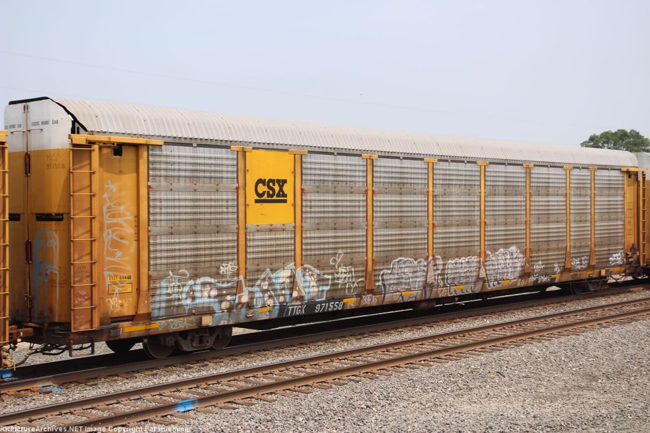 TTGX 971558