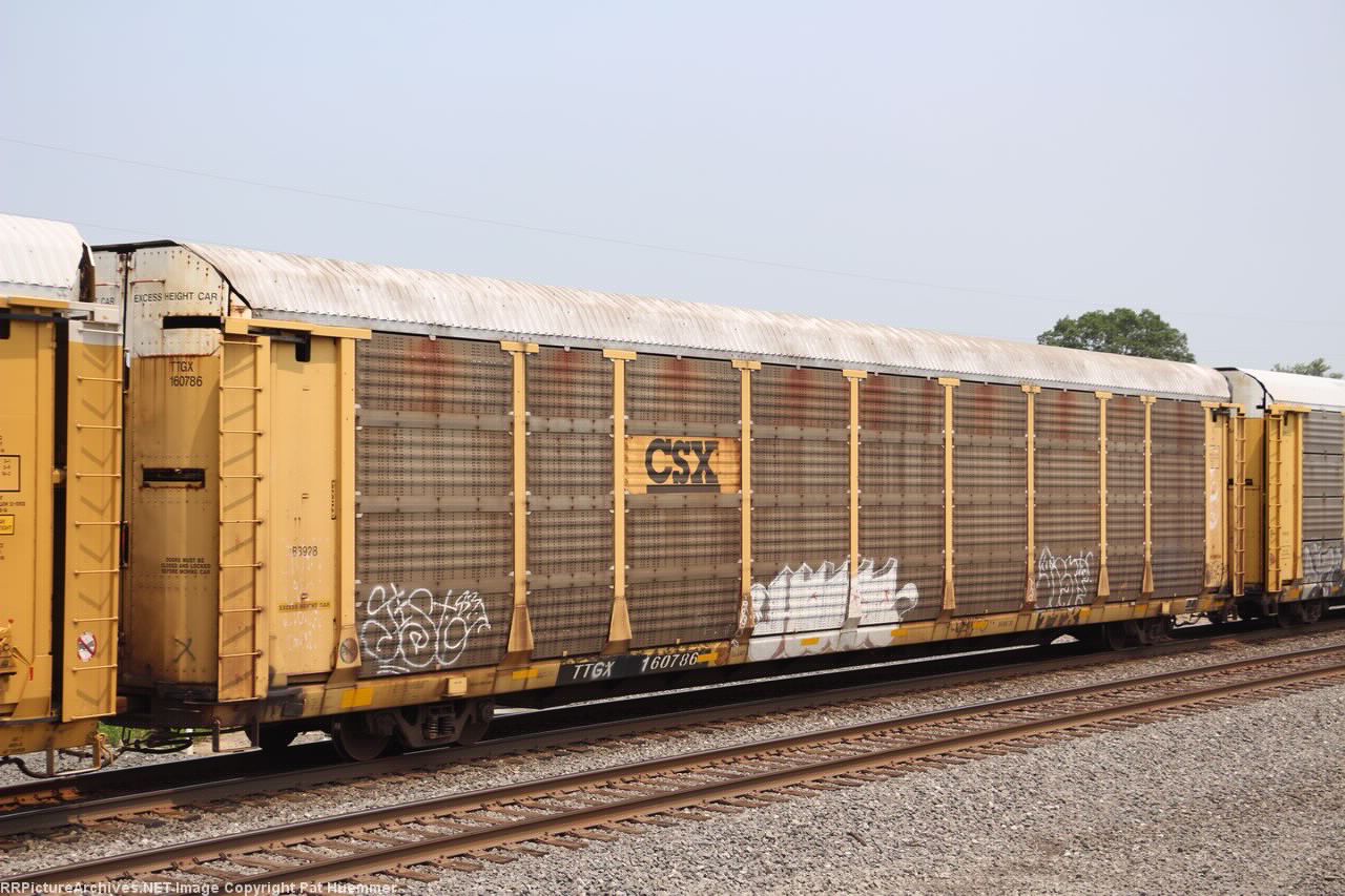 TTGX 160786