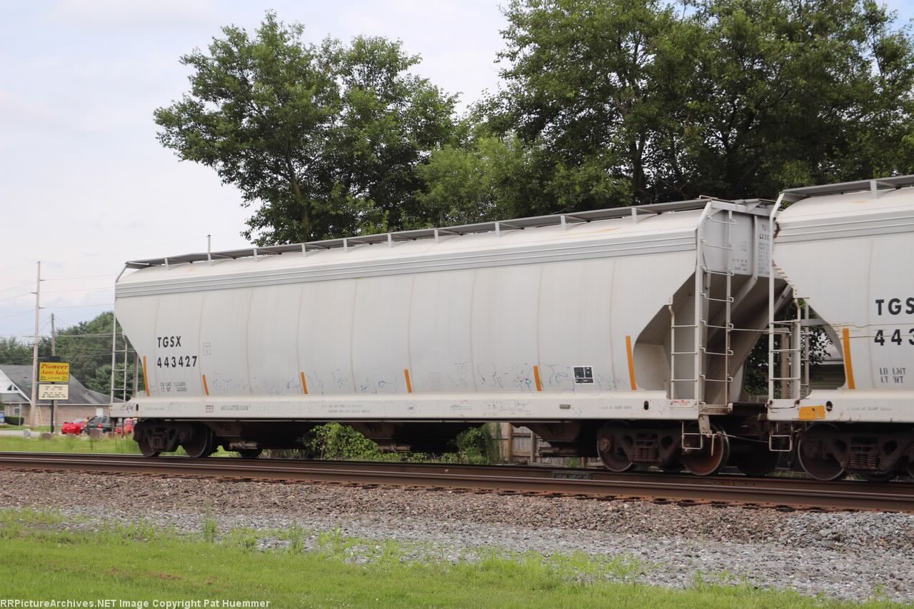 TGSX 443427