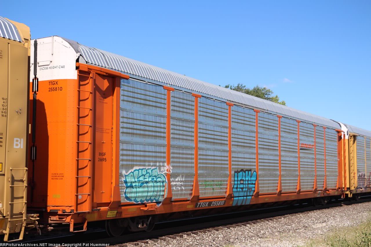 TTGX 255810