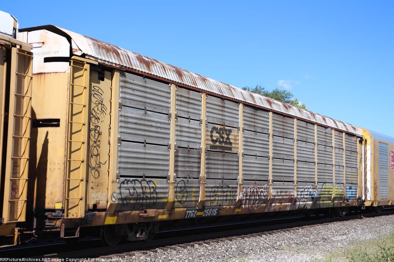 TTGX 256115