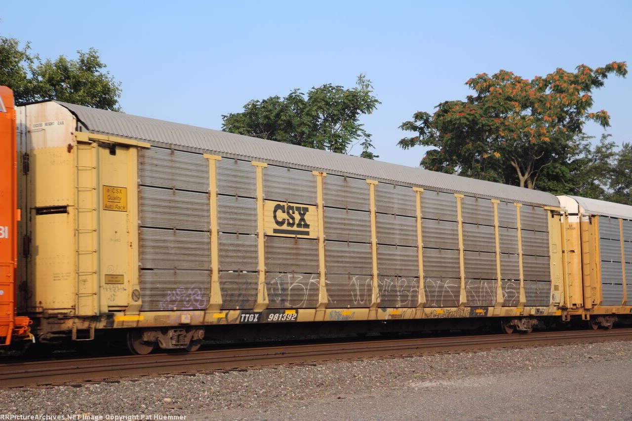 TTGX 981392