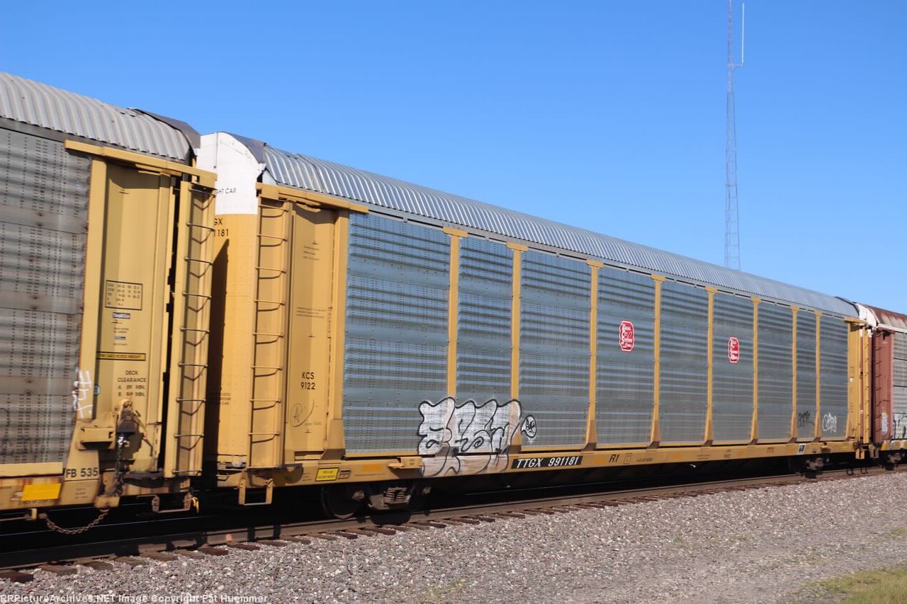 TTGX 991181