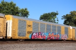 CTTX 690106