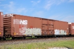 NS 487565