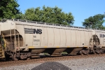 NS 294905