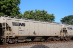 NS 296668