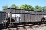 NS 802976
