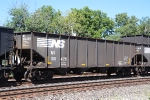 NS 301426