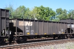 NS 300375