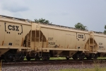 CSX 243330