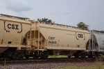 CSX 243676