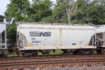 NS 294257