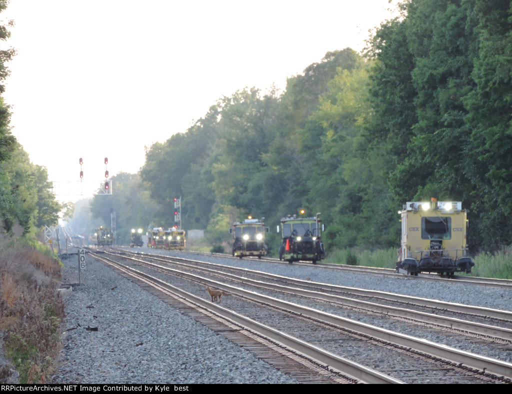 The fox and the rail machines 