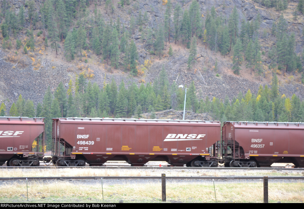 BNSF 498439