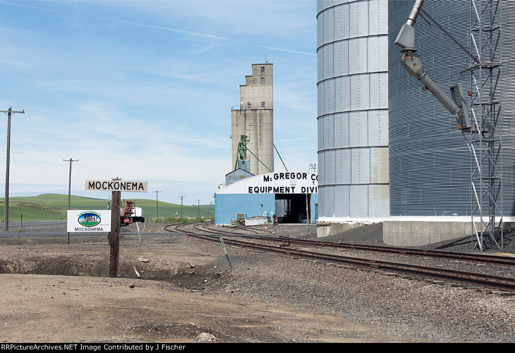 Mockonema, Washington